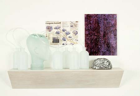 David Webster
Brain Shelf, 1999
mixed media, 37 x 25 inches