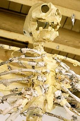 Matt Schwede
Paper Skeleton (Detail), 1998
wire, newspaper, glue, masking tape, 120 x 48 x 36 inches