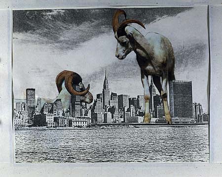Anita Steckel
Giant Mt. Goats on NY, early 80's
montage, 66 x 72 inches