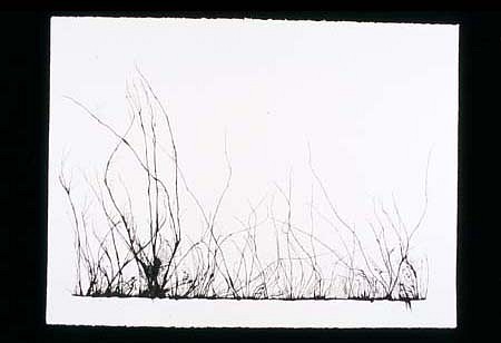 Mahmoud Hamadani
Untitled, 2000
ink on paper, 22 x 30 inches