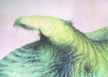 Cynthia Harper
Untitled, 2004
colored pencil on paper, 11 x 15 inches