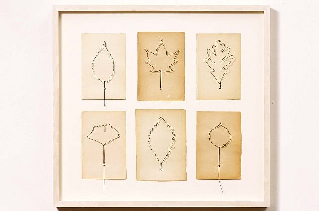 Eric Rhein
Fly Leaves - Gathering of Six No. 3, 2003
wire, paper, 25 1/2 x 28 x 2 in.
