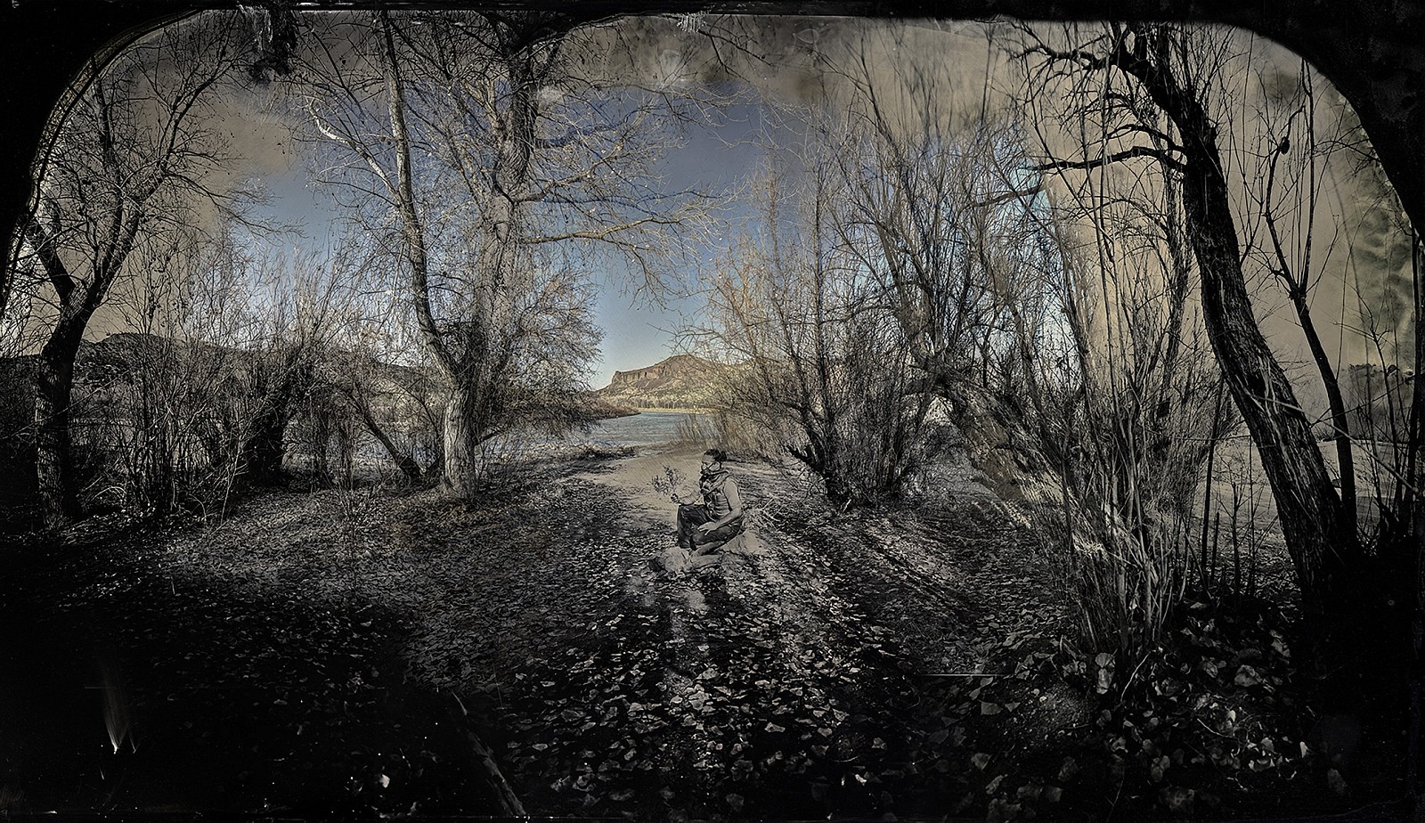 Will Wilson
Auto Immune Response: On the Consideration of Invasive Species, Downriver From Los Alamos, NM, 2013
Archival Duratrans Print in LED lightbox, from the original wet plate/digitl hybrid capture, 44 x 77 in.