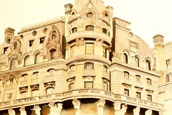 Sandra Walker -&nbsp;Ansonia