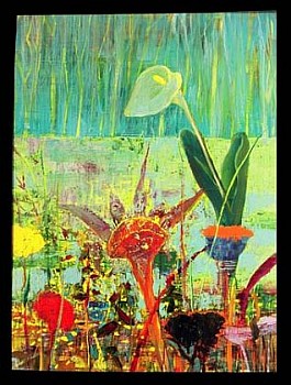 Robert Warrens -&nbsp;Calla Lily II