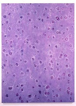 Artist:&nbsp;David Webster