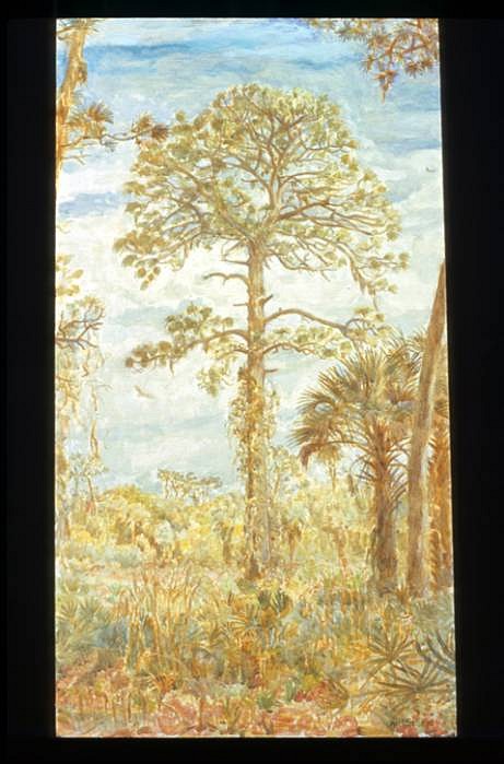 Joseph Weinzettle
Pinewoods (Largo), 2008
oil on panel, 22 x 15 inches