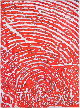 Merle Temkin - My Enlarged Left Index Fingerprint