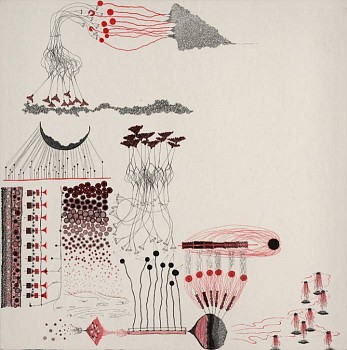 Jen Urso - Disaster Study 2