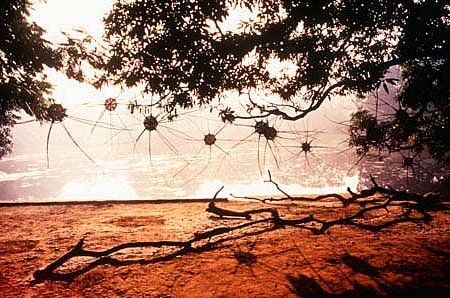 Radhika Vaidyanathan
Silent Space Light, 1997
wicker, nylon, string, jute, found branches, sand