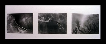 Artist:&nbsp;Renee van der Stelt