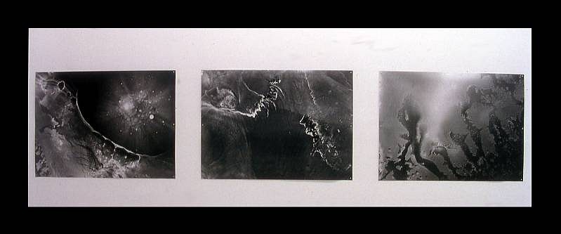 Renee van der Stelt
Untitled, 2005
lambda, 50 x 70 inches
3 cliche verre prints