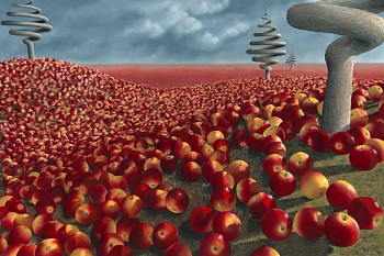 Patricia Van Lubeck -&nbsp;Malus arvum