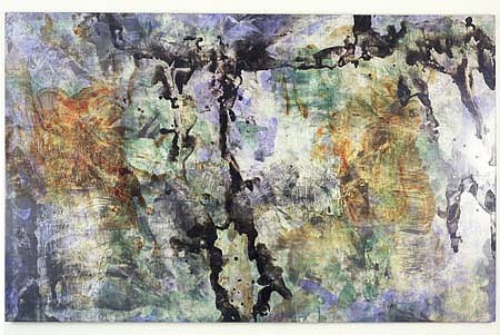 Anthony Viti
I and R No. 40, 2003
human blood, urine, pigment and varnish on canvas, 63 1/2 x 102 inches