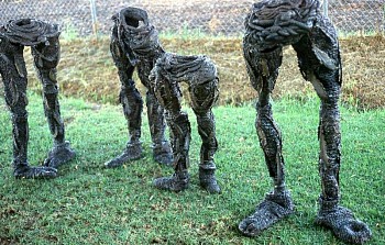 Lynne Streeter -&nbsp;Grounded