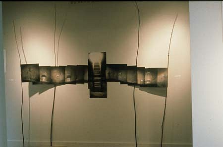 Anna Strickland
Kiva, 1990
mixed media, hand colored photo, wood and tree parts, 12 x 90 x 100 inches