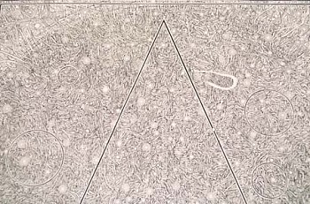 Walter Redinger -&nbsp;Star and Triangle