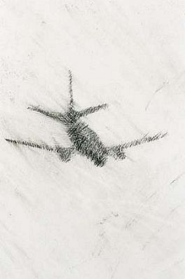 Necee Regis
Wild Blue Yonder, 9 (Detail), 1999
graphite on hydrocal