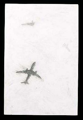 Necee Regis
Wild Blue Yonder, 11, 1999
graphite on hydrocal, 24 x 16 x 1 inches