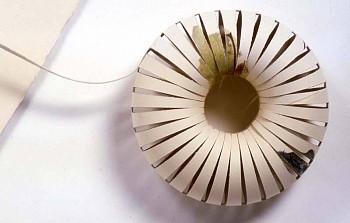 Beverly Ress - A Bird in a Tree in the Universe