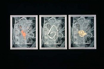 Meridel Rubenstein - Joan's Arc