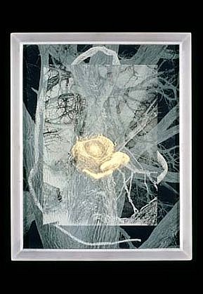 Meridel Rubenstein
Joan's Arc, 1996
silkscreen, sandblast, 20 x 16 inches