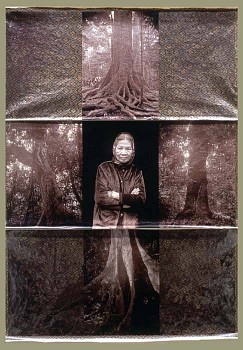 Meridel Rubenstein - Old Growth Tapestry