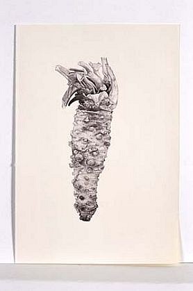 Renato Orara
Untitled (Wasabi), 1995
ballpoint pen, 5 1/2 x 8 inches