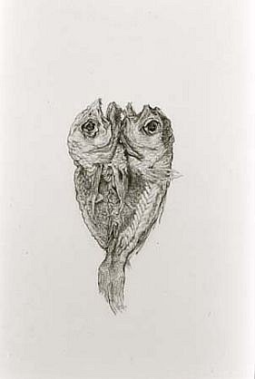 Renato Orara
Untitled (Philippine Dried Fish), 1991
ballpoint pen, 5 1/2 x 8 inches