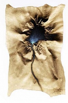Artist:&nbsp;Pedro Pacheco