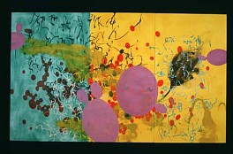 Heidi Pollard Biography