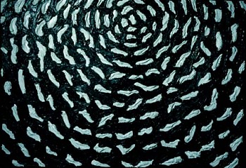 Artist:&nbsp;Mark Milloff