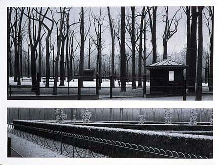 Anthony Mitri
9 Benches, Luxembourg Gardens, Paris, France, 2003
charcoal on paper, 22 x 30 inches