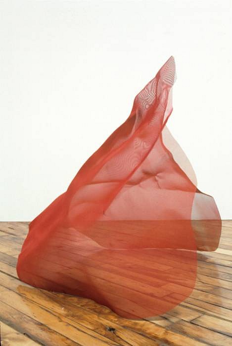 Natalie Moore
Flame, 2008
painted stainless steel wire mesh, 36 x 45 x 45 inches