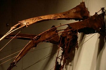 Dominique Morel - Fragments 3,4,5,6