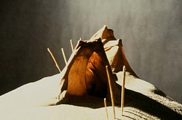 Dominique Morel Biography