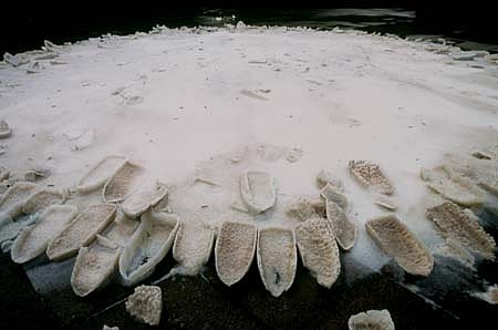 Motoi Yamamoto
The Fountain of Remembrance, 2000
salt, 156 inches