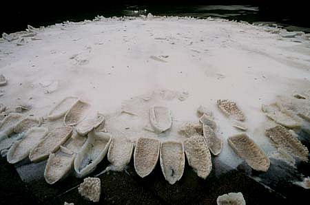 Motoi Yamamoto
The Fountain of Remembrance, 2000
salt, 156 inches