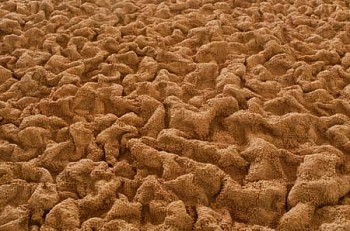 Kellie Murphy -&nbsp;Tapis (Detail)