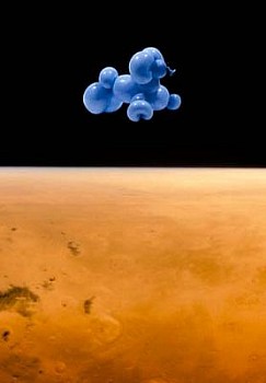 Barbara Noah - Rover