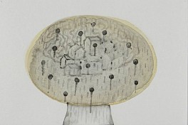 Beatrice Maleyre Biography