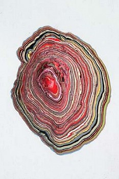 Jason Manley -&nbsp;Room, Part 1 (detail)