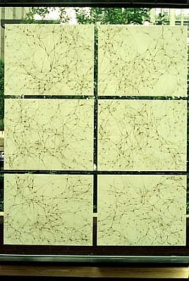 Karen Margolis
Window Piece, 1997
ink, gouache, vellum, 6- 19 x 24 inch pieces