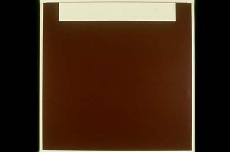 Fergus Martin
Untitled, 1998
acrylic on canvas, 72 x 72 inches