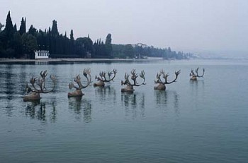 Artist:&nbsp;Robert Mason