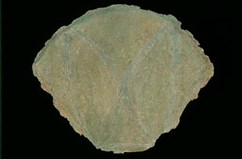 Ada Medina -&nbsp;Current