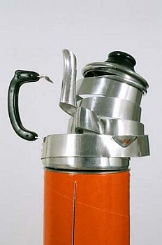 Ana Linneman - The World as an Orange