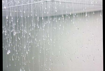 Michele Kong - Drop