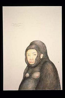 Haegeen Kim
Gorilla Woman - Self Portrait, 2005
colored pencil on paper, 16 1/2 x 23 1/2 inches