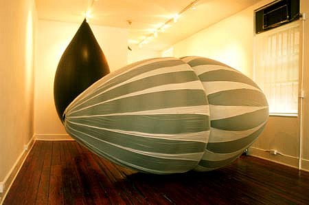 Ronald Klein
White & Black, 2001-02
inflatable, parachutes, 16' x 7' x 7'